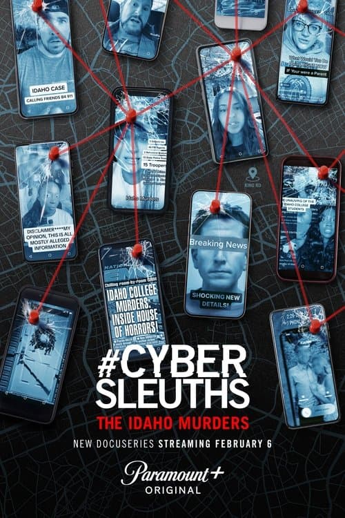 #CyberSleuths: The Idaho Murders (2024) poster