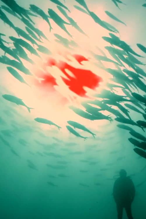 Red Sun (2018) poster