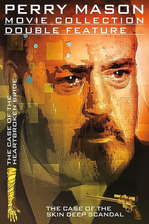 Perry Mason: The Case of the Skin-Deep Scandal (1993) poster