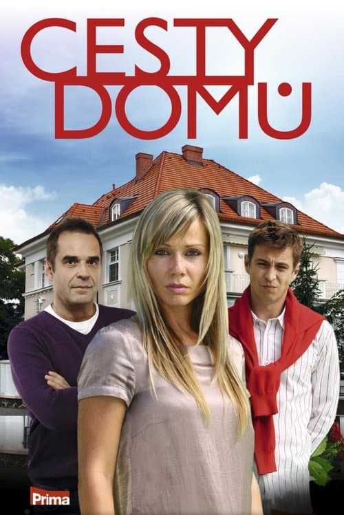 Cesty domů (2010) poster