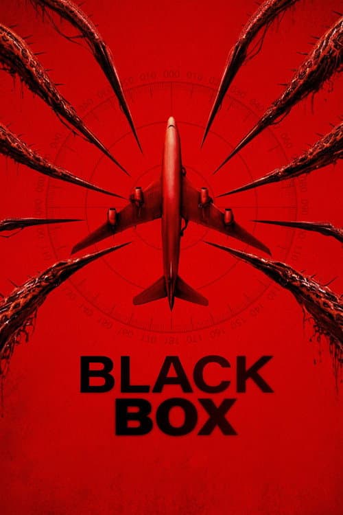 Black Box (Flight 298) (2026) poster