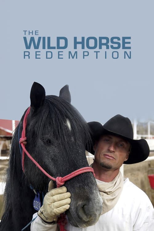 The Wild Horse Redemption poster