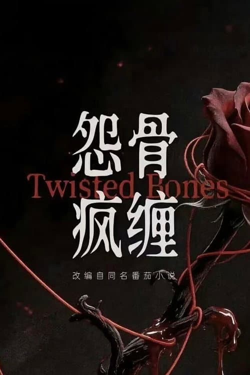 怨骨疯缠 poster