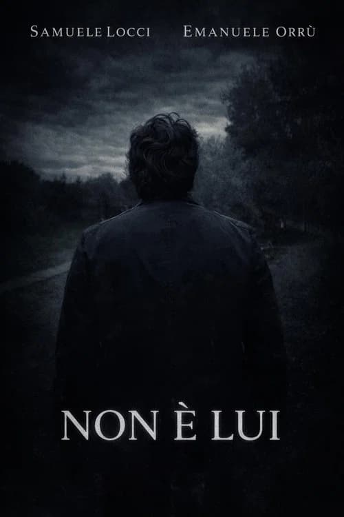 Non è lui poster
