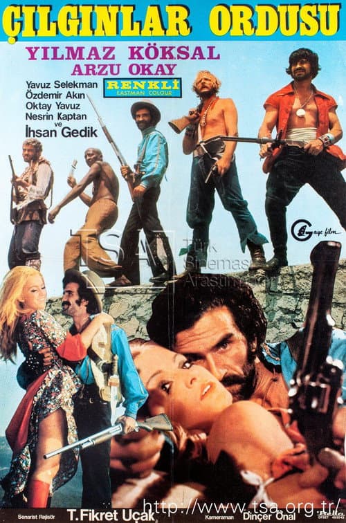 Çılgınlar Ordusu (1972) poster