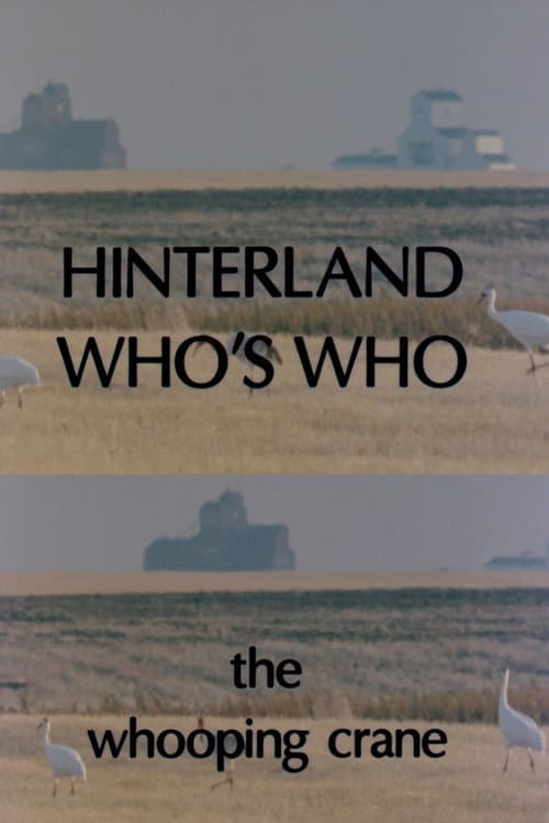 Hinterland Who's Who: Whooping Crane poster