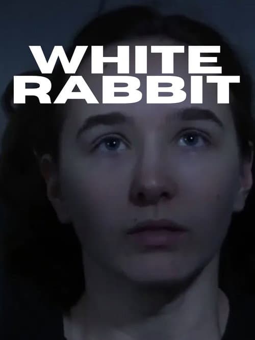 White Rabbit poster