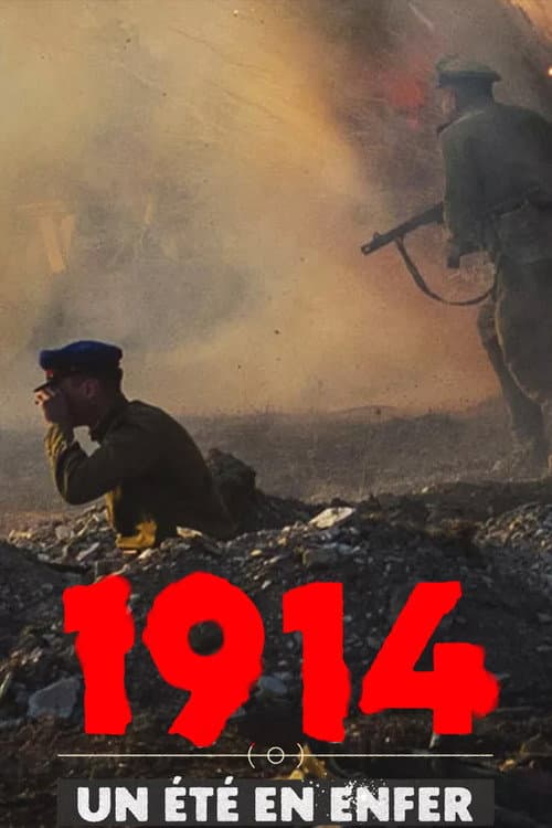 1914, un été en enfer (2024) poster