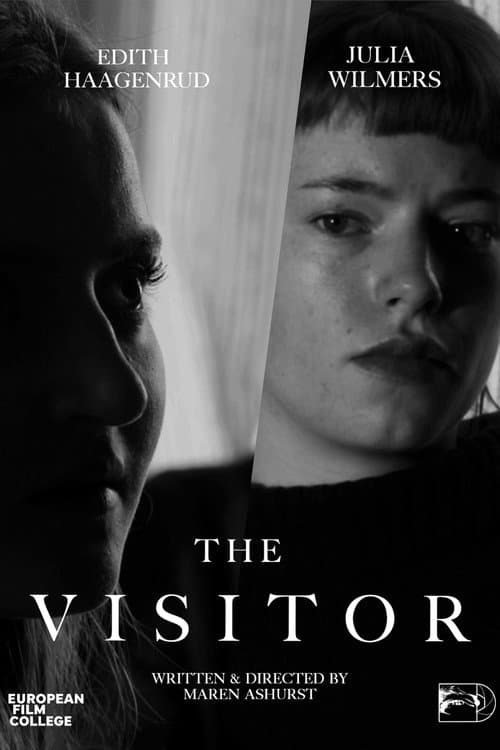 The Visitor (2025) poster