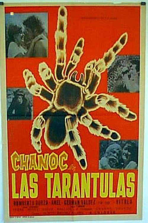 Las tarántulas poster