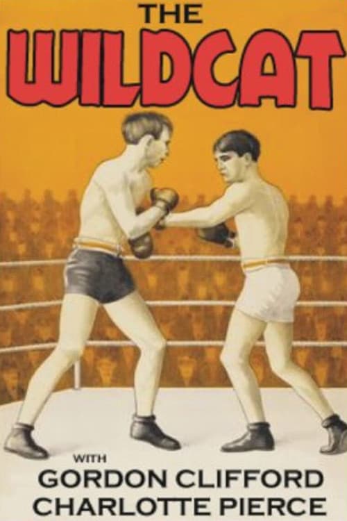 The Wildcat (1925) poster