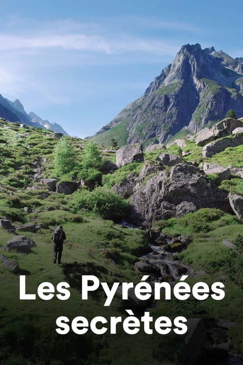 Les Pyrénées secrètes (2022) poster
