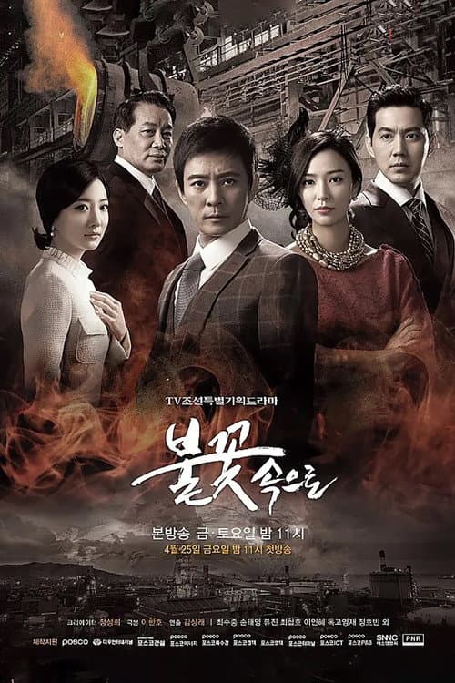 Into the Flames poster