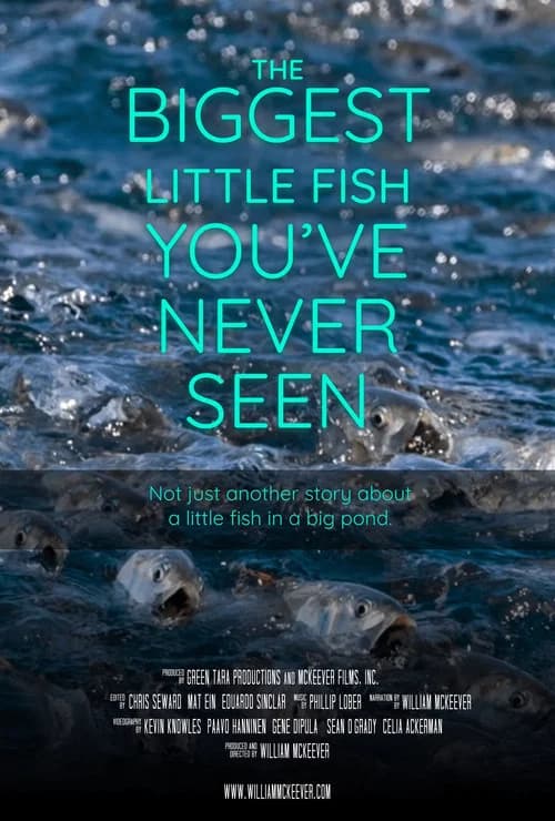 The Biggest Little Fish You've Never Seen poster