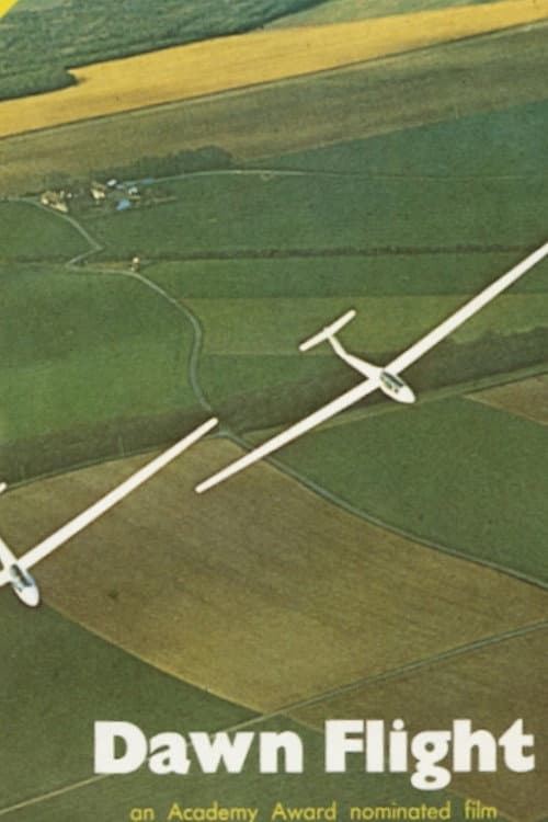 Dawn Flight poster