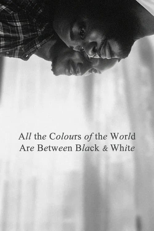 All the Colours of the World Are Between Black and White poster