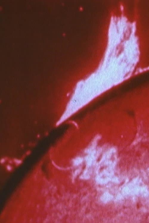Sonnenstube (2022) poster