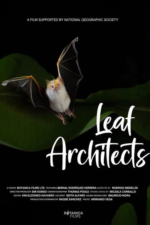 Leaf Architects (2025) poster
