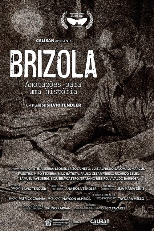Brizola, Anotações para uma História poster