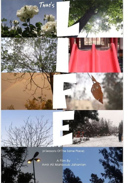 That's Life poster