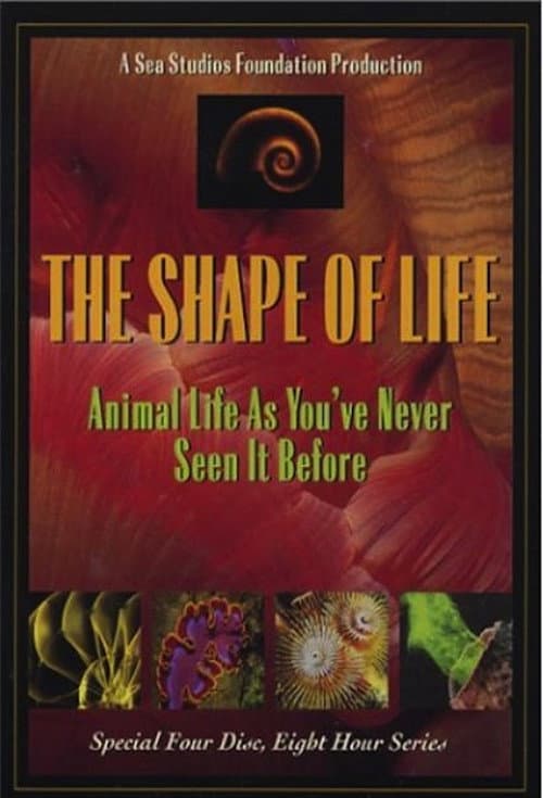 The Shape of Life (2001) poster