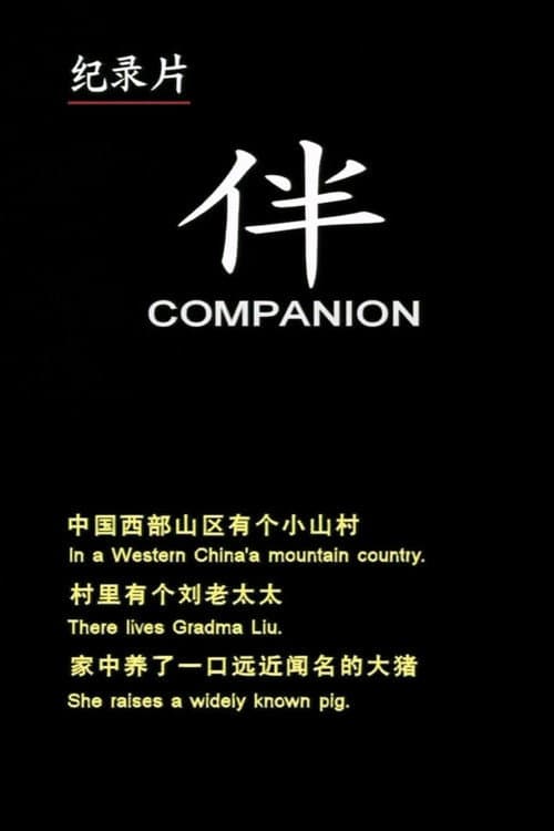 Companion poster