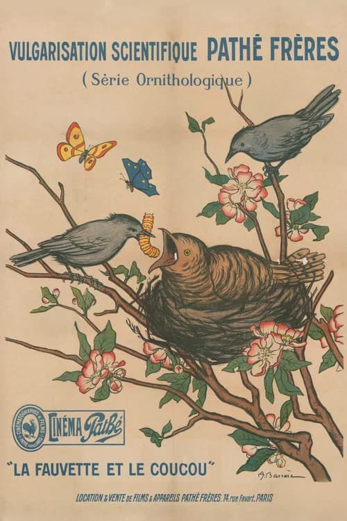 La Fauvette et le coucou poster