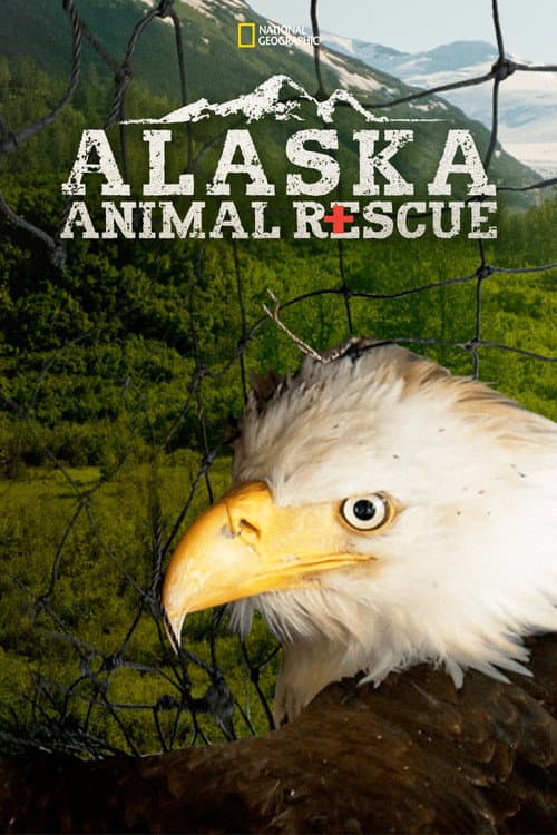 Alaska Animal Rescue (2020) poster