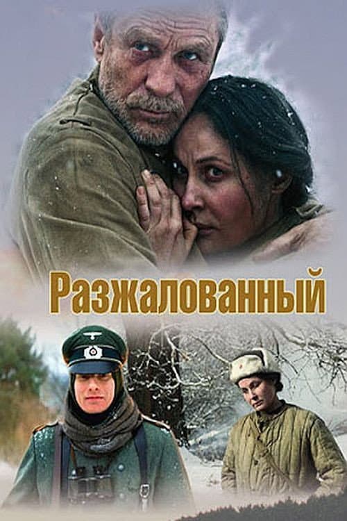 Degraded Officer (2009) poster