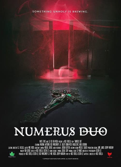 Numerus Duo (2021) poster