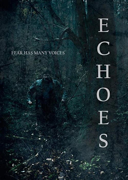 Echoes poster