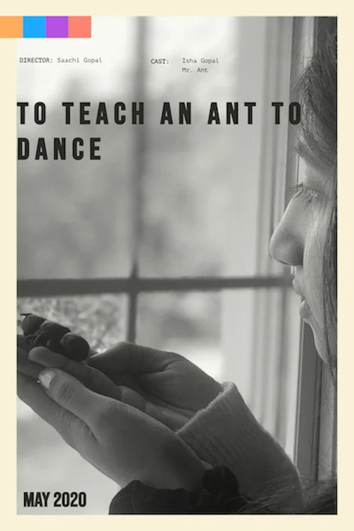 To Teach an Ant to Dance poster