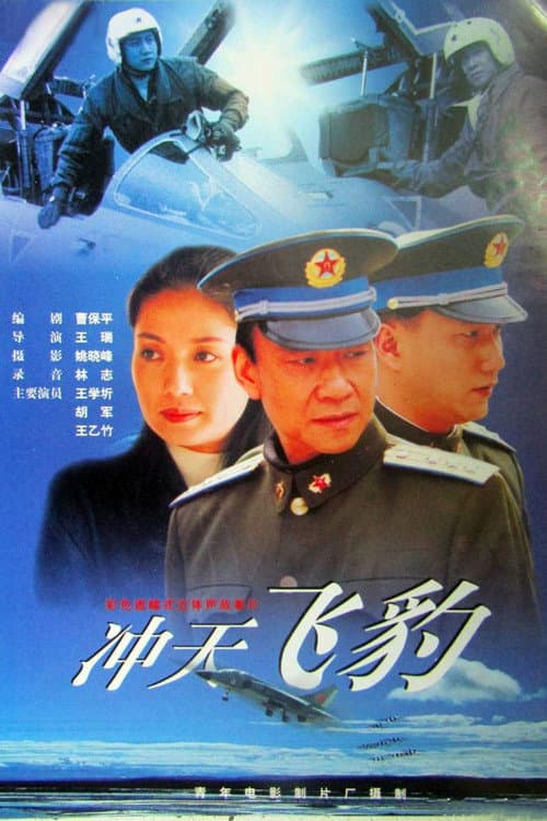 冲天飞豹 poster
