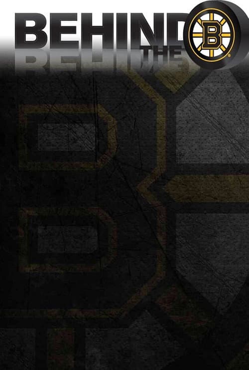 Behind the B (2013) poster