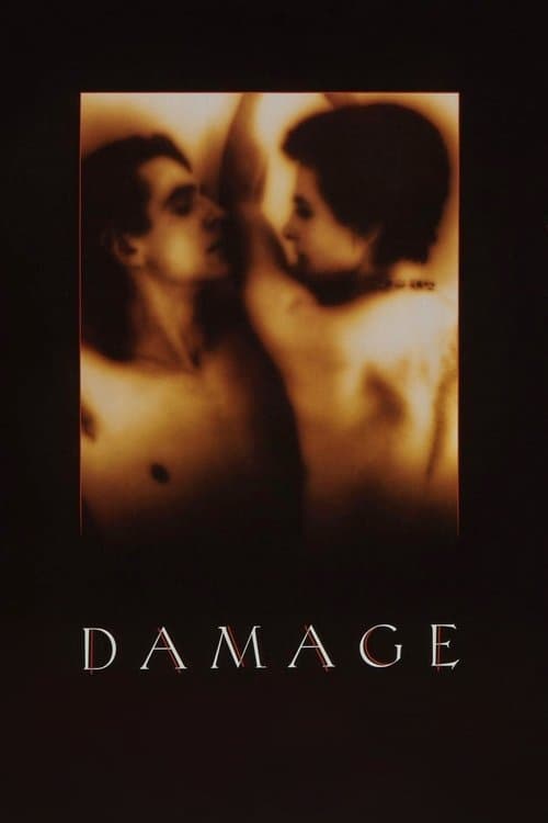 Damage (1992) poster