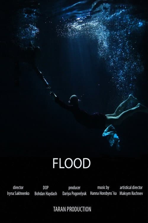 Flood (2019) poster