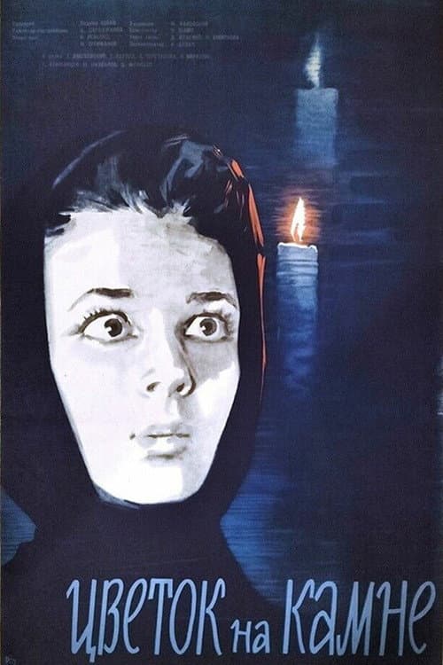 Flower on the Stone (1963) poster