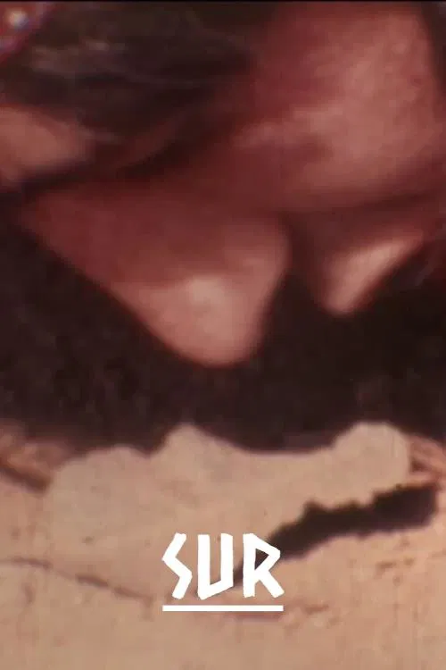 South (1969) poster