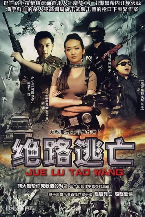 出路 (2004) poster