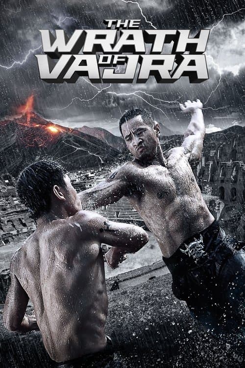 The Wrath of Vajra (2013) poster
