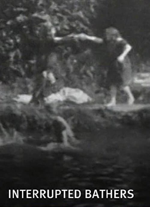 Interrupted Bathers poster