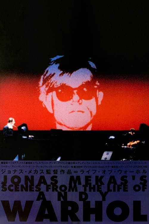 Scenes from the Life of Andy Warhol: Friendships & Intersections (1990) poster