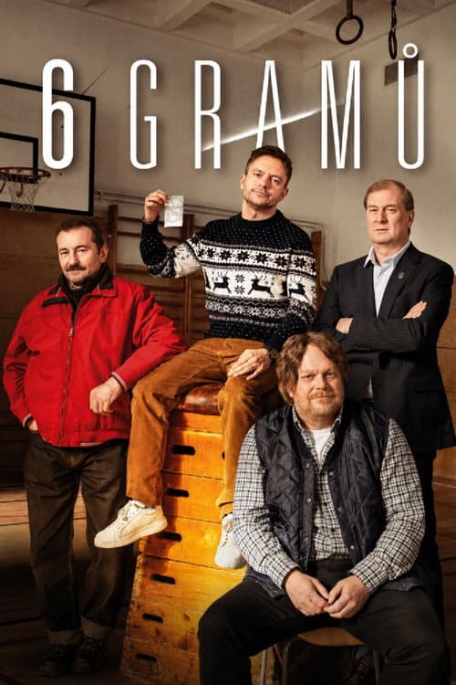 6 gramů (2026) poster