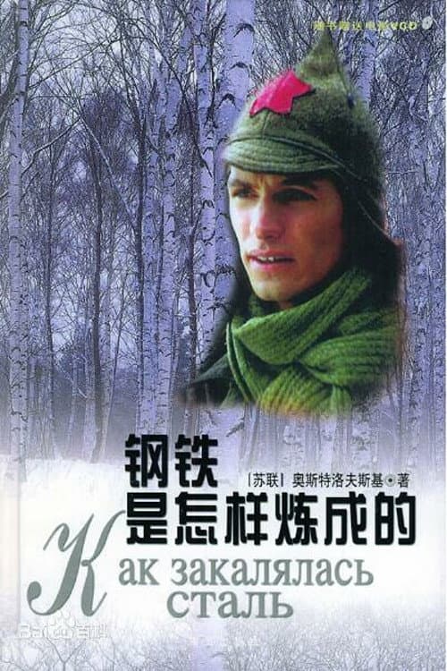 钢铁是怎样炼成的 poster