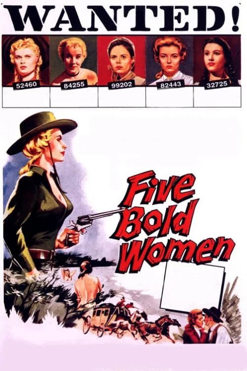 Five Bold Women poster