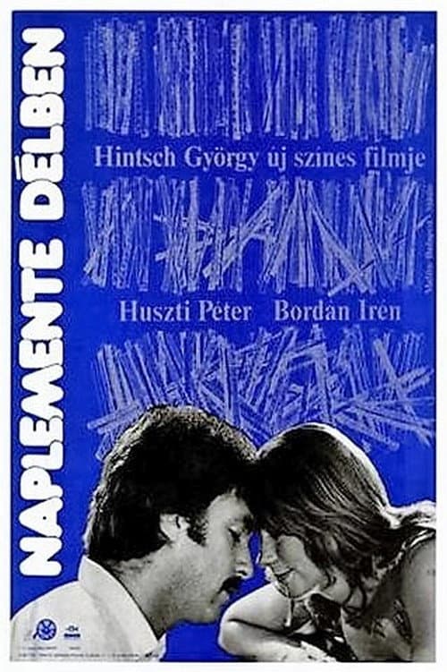Sunset at Noon (1979) poster