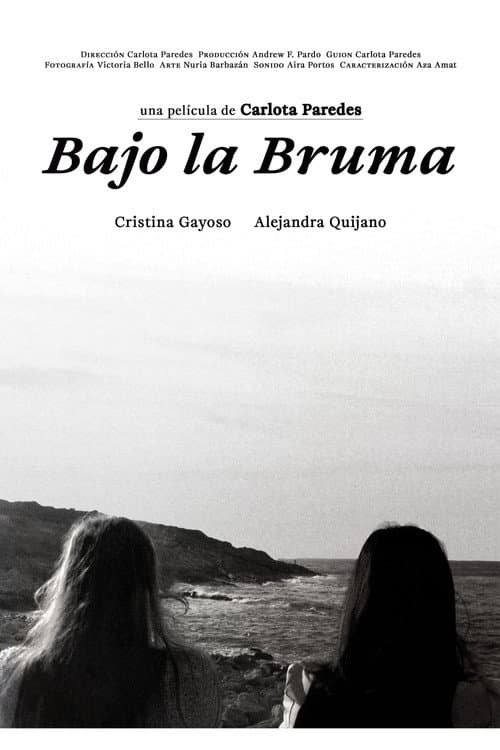Bajo la bruma poster