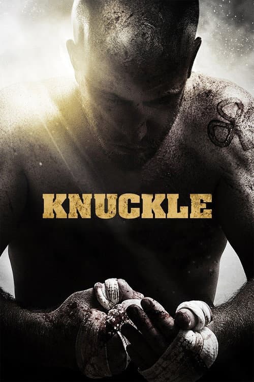 Knuckle poster