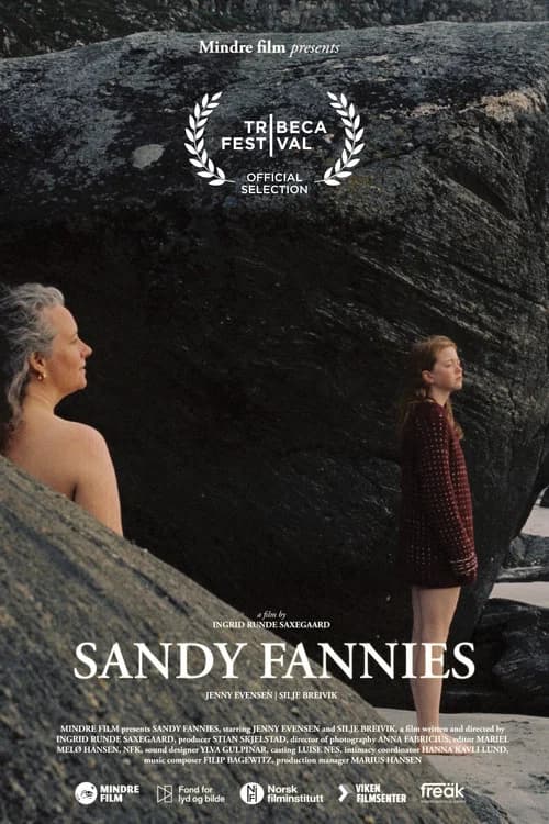 Sandy Fannies poster