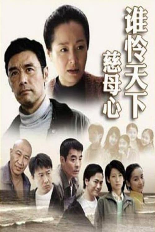谁怜天下慈母心 (2007) poster